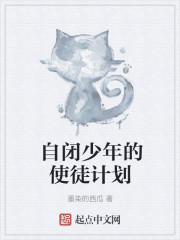 自闭少年的使徒计划