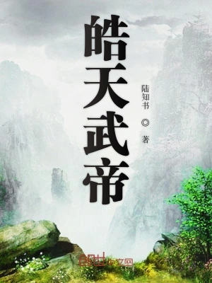 皓天武帝