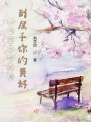心向陽光終會遇到屬于你的美好在線閱讀