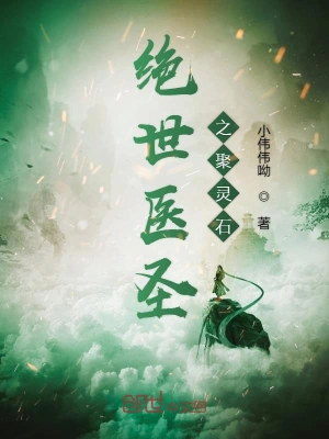 绝世医圣之聚灵石