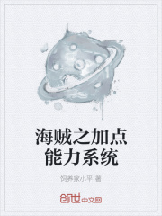 海賊之加點能力系統在線閱讀