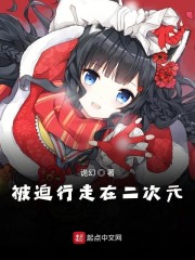 被迫行走在二次元