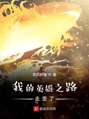 我的英雄之路走歪了在線閱讀