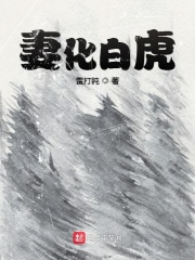 妻化白虎在線閱讀