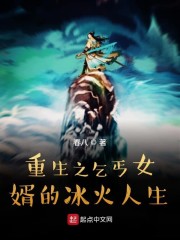 重生之乞丐女婿的冰火人生
