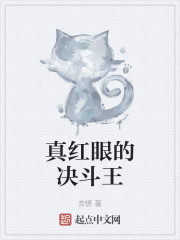 真红眼的决斗王