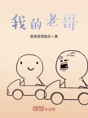 我的老哥在線閱讀