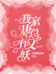 我家唐總又作妖在線閱讀