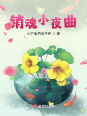 銷魂小夜曲在線閱讀