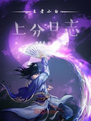 王者小白上分日志在線閱讀