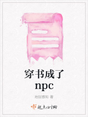 穿书成了npc