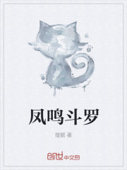 凤鸣斗罗