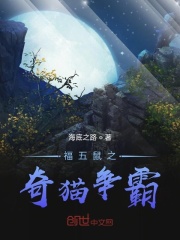 福五鼠之奇貓爭霸在線閱讀