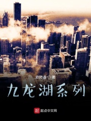 九龍湖系列在線閱讀