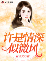 許是情深似微風在線閱讀