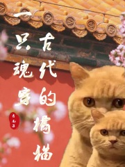 一只魂穿古代的橘貓?jiān)诰€閱讀