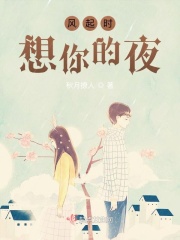 風起時想你的夜在線閱讀