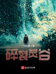 碎裂靈谷在線閱讀