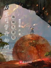 冒险从海贼王开始