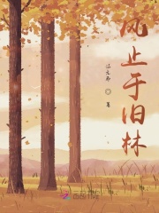 風(fēng)止于舊林在線閱讀