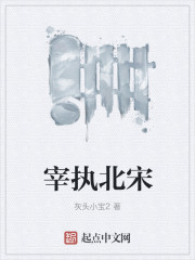宰执北宋