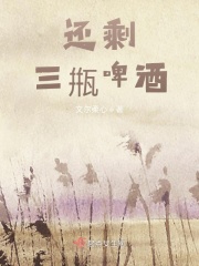 還剩三甁啤酒在線閱讀