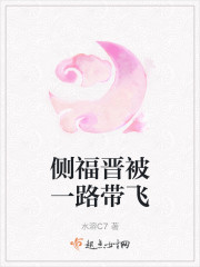 侧福晋被一路带飞