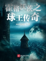 霍格沃茨之球王傳奇在線閱讀