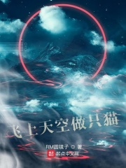 飛上天空做只貓在線閱讀