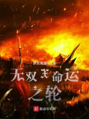 無雙X命運之輪在線閱讀