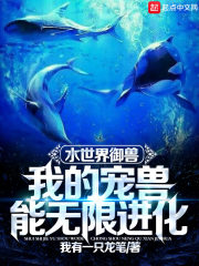 无限世界御