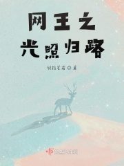 網(wǎng)王之光照歸路在線閱讀