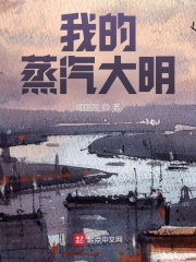 我的蒸汽大明在線閱讀