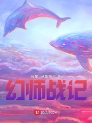 幻师战记