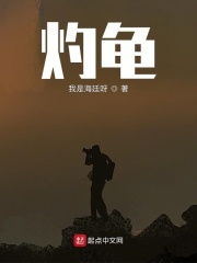 灼龜在線閱讀
