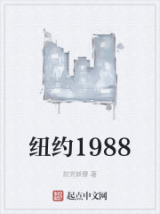 纽约1988