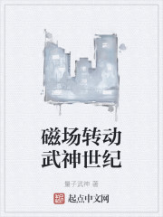磁场转动武神世纪