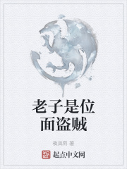 老子是位面盜賊在線閱讀