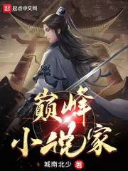 巔峰小說家在線閱讀