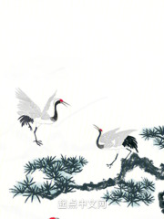 空兮隨筆在線閱讀
