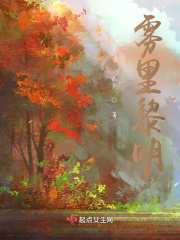 霧里黎明在線閱讀