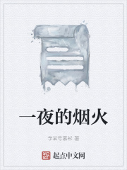 一夜的煙火在線閱讀