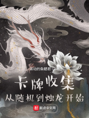 卡牌收集：從隨機到燭龍開始在線閱讀