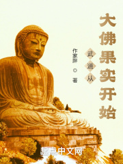 武道从大佛果实开始在线阅读