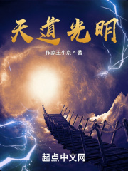 天道光明在線閱讀