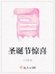 圣誕節驚喜在線閱讀