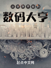 從非洲開(kāi)始的數(shù)碼大亨在線閱讀