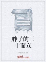 胖子的三十而立在線閱讀