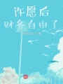 许愿后，财务自由了在线阅读