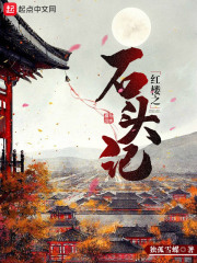 我在紅樓寫小說(shuō)在線閱讀
